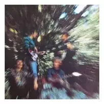 Vinilinė plokštelė Creedence Clearwater Revival - Bayou Country