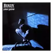 Vinilinė plokštelė Peter Gabriel – Birdy