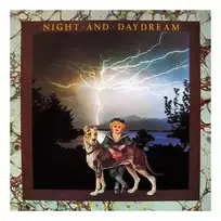 Vinilinė plokštelė Ananta – Night And Daydream