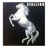 Vinilinė plokštelė Stallion – Stallion