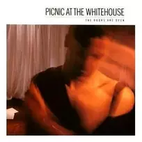 Vinilinė plokštelė Picnic At The Whitehouse – The Doors Are Open