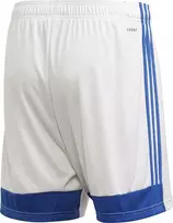 Šortai vyrams Adidas Tastigo 19 Shorts M FI6355, balti