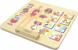 Medinė edukacinė lenta MASTERKIDZ Žmogaus kūno sandara