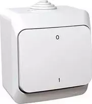 Schneider Electric „Cedar Plus“ ant paviršiaus montuojamas dvipolis jungiklis 16AX IP44 baltas WDE000520