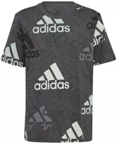 Adidas Marškinėliai Berniukams U Bl Logo Tee Pilkas HP0819