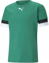 Puma Futbolo Marškinėliai Vyrams TeamRise Jersey Žalias 704932 05