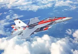 Italeri F/A-18F Super Hornet 1/48 surenkamas lėktuvo modelis (2823)