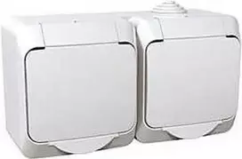 Schneider Electric Cedar Plus Hermetiškas dvigubas lizdas su atlenkiamąja užtūra 16A IP44 balta (WDE000522)