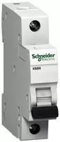 Schneider Electric K60N-B13 WYŁ. NADPRĄDOWY