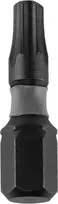 Dedra Atsuktuvu smuginiai antgaliai Torx T15x25mm 10vnt