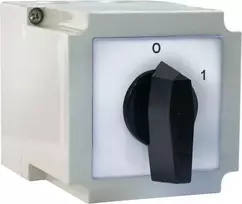 Apator Cam jungiklis 0-1 2P 10A korpuse 4G10-91-PK (63-840395-011)