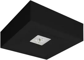 AWEX LOVATO N ECO LED avarinis šviestuvas 3W 315lm (pasirinktinai atviras) 1h vienos paskirties juodas LVNO/3W/ESE/X/BL - LVNO/3W/ESE/X/BL
