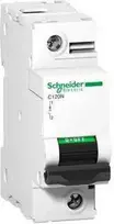 Schneider Electric 1P C 100A 10kA AC C120N (A9N18358)