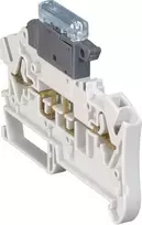 Legrand VIKING 12 / 24 / 48V AC / DC 5x20mm 037524