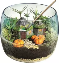 Harry Potter Clementoni Hagrid's Hut Terrarium -kasvatussetti