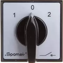 „Spamel Cam“ tinklo generatoriaus jungiklis 2P 16A, skirtas pastatymui (ŁK16R-2.8338P03)
