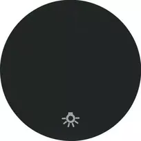 Viengubas klavišas jungikliui Berker R.1/R.3, Spalva Juoda