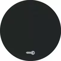 Viengubas klavišas jungikliui Berker R.1/R.3, Spalva Juoda