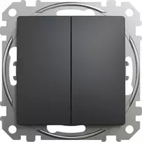 Schneider Electric Sedna dizainas, dvigubas mygtukas, juodas antracitas