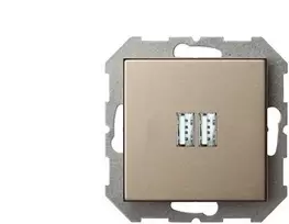 USB kroviklis LIREGUS EPSILON, šampano spalvos