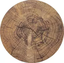Orion Kamštinis padėkliukas 38 cm Apvalus