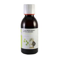 GREENICE Chaga (beržų arbata) skystas ekstraktas 150ml