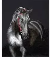 Diamond Dotz 53 x 42 cm - Vidurnakčio eržilo kumpis
