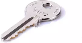 Faac atrakinimo raktas skirtas 391/413/415/400/422/721/740/741/746/844 ir durims 615/620/640 (1 vnt.)