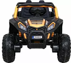 Ramiz Dvivietis elektromobilis UTV Buggy Racing 4x4, Gold
