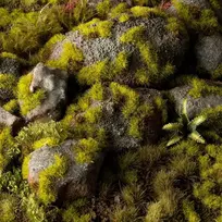 Gamers Grass: Žolės kuokštai – 2 mm – Samanų kuokštai (laukiniai)