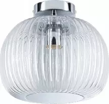 Paulmann lubinis šviestuvas RUYA vonios lubų šviestuvas E27 max 60W IP44 230V chromas/stiklas