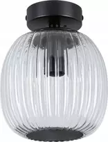 Paulmann lubinis šviestuvas RUYA vonios lubų šviestuvas E14 max 20W IP44 230V matinis juodas / stiklas
