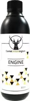 Dream Car Daniel Washington variklis 500 ml (variklio plovimas)