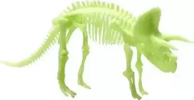 Teka tamsoje šviečiantis triceratopso skeletas