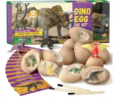 Magy Archeologijos kasinėjimo rinkinys dinozauro kiaušiniai – 12 vnt.
