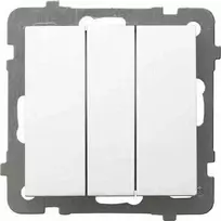 Ospel Ospel As ŁP-24G/m/00 mygtukas, įleidžiamas, trigubas kontaktas, 10AX 250V IP20 baltas