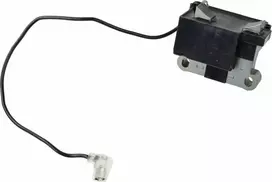 Geko degimo purkštuvo uždegimo modulis (CG81080-38)