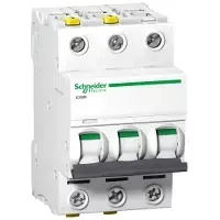 Schneider Electric grandinės pertraukiklis IC60N 3P 6A D - A9F05306
