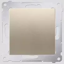 Kontakt-Simon Teisingas vienas aukso mygtukas - DP1.01 / 44