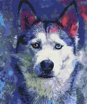 Symag Paveikslėlis Tapyba skaičių - Husky Look