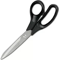 Ambrogio Sanelli Dantytos virtuvinės žirklės PLIENAS 210 mm