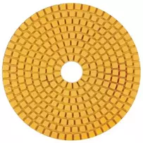 Distar Ø100MM Baumesser Standard Poliravimo padukas diskas #30-3000, Grūdėtumas: 120