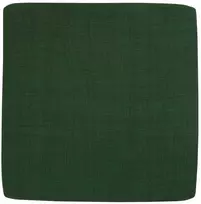 PATIO Kvadratinė kėdės pagalvėlė, 3x30x30 cm, žalios spalvos, H024-32PB