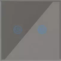 Art SMART LIGHT SWITCH WIFI dvigubai pilka ART oem