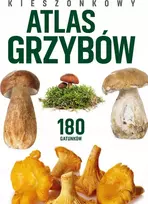 Peggy Diggledey kišeninis grybų atlasas