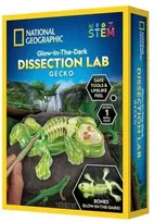 NATIONAL GEOGRAPHIC rinkinys Tamsoje šviečiančių gekonų skrodimo laboratorija, RTGECKOLAB