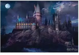 Vision Hogvartso mokyklos plakatas