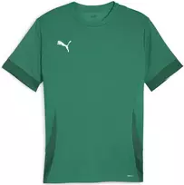 Puma Marškinėliai Vyrams TeamGoal Matchday Jersey Žalias 705747 05