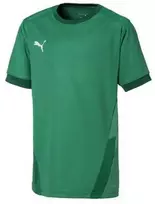 Puma Marškinėliai Paaugliams TeamGoal 23 Jerse Žalias 704160 05