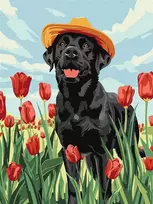 Norimpex Dailininko rinkinys skaičiais "Lovely Labrador" KHO6621 30x40 AP0055
